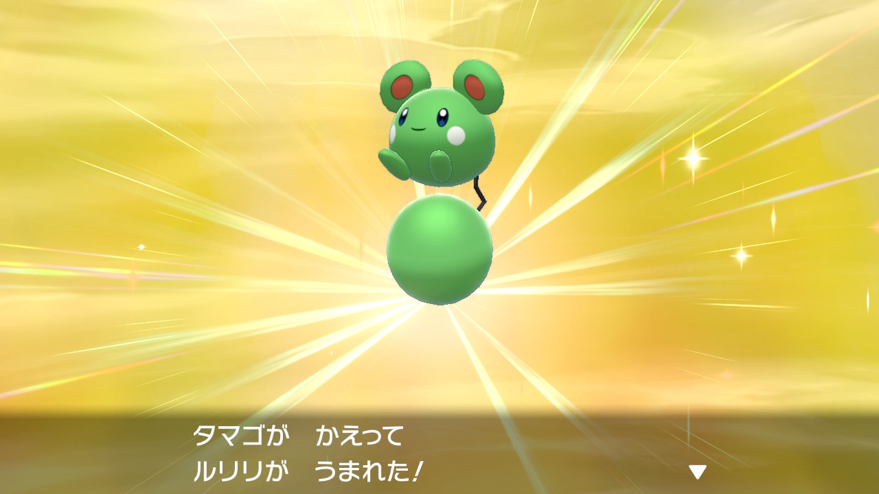 パピ ふわふわわ A Twitter Neko Hiziri 色違いルリリ可愛い おめでとうです Twitter