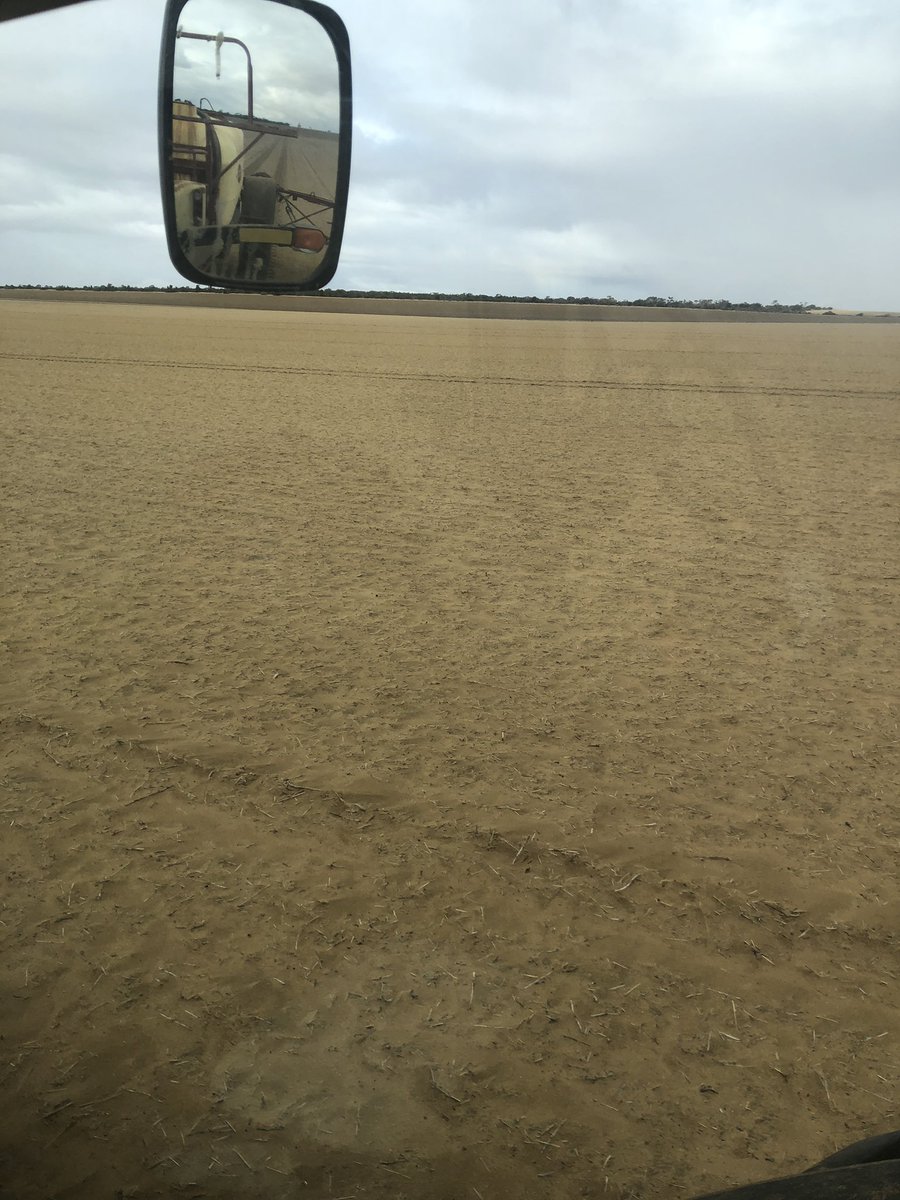 StuartWilson02's tweet photo. Had @TillageHire bednar a problem non wetting paddock to 550mm looks to have done the trick giving us confidence to do more. With the big winds had little blow considering. Sowed chief wheat on it and growing really well but harvest will tell the story. https://t.co/3mGKr3H08X