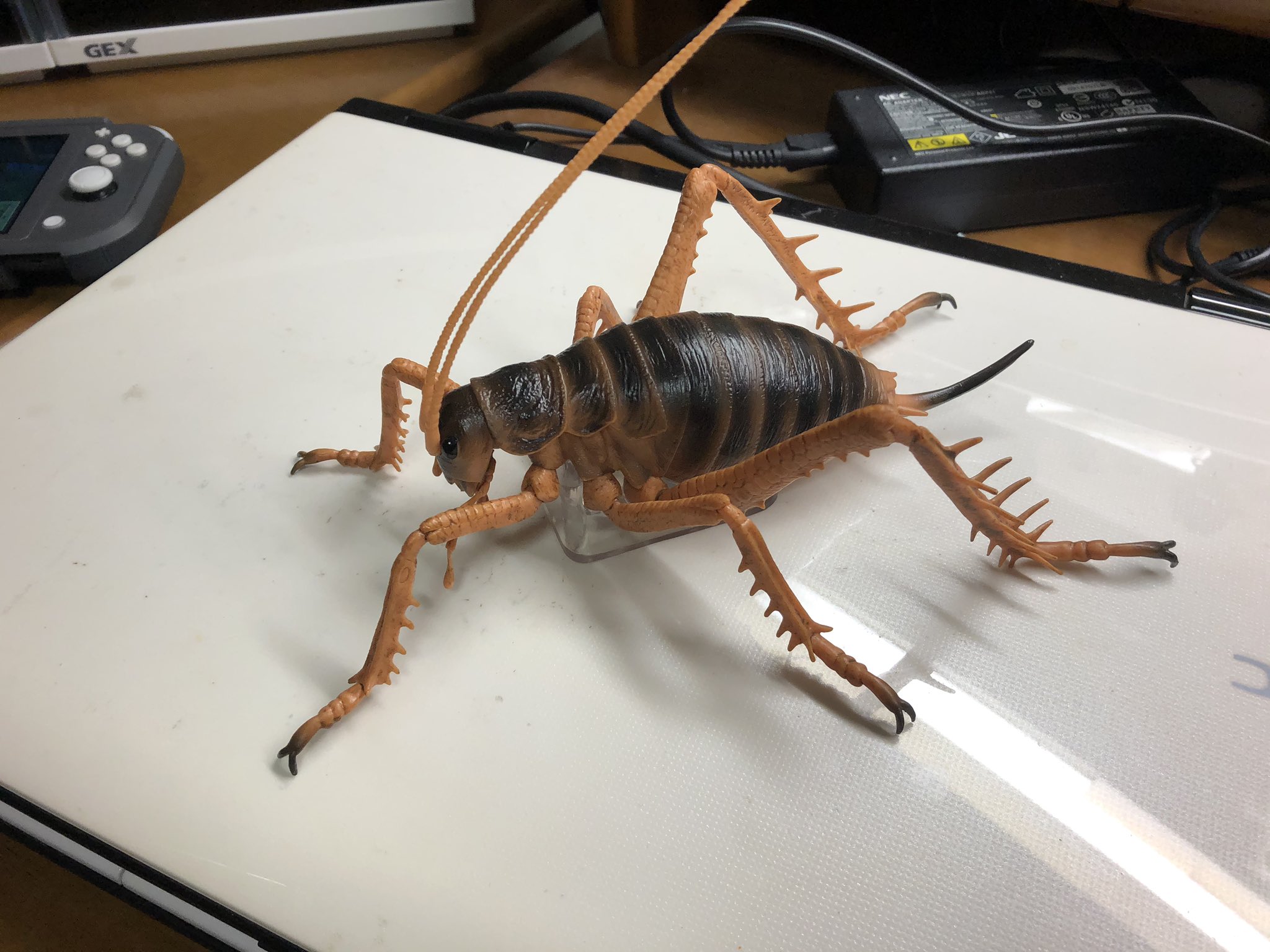 一番くじ 昆虫 フィギュア ジャイアントウェタ