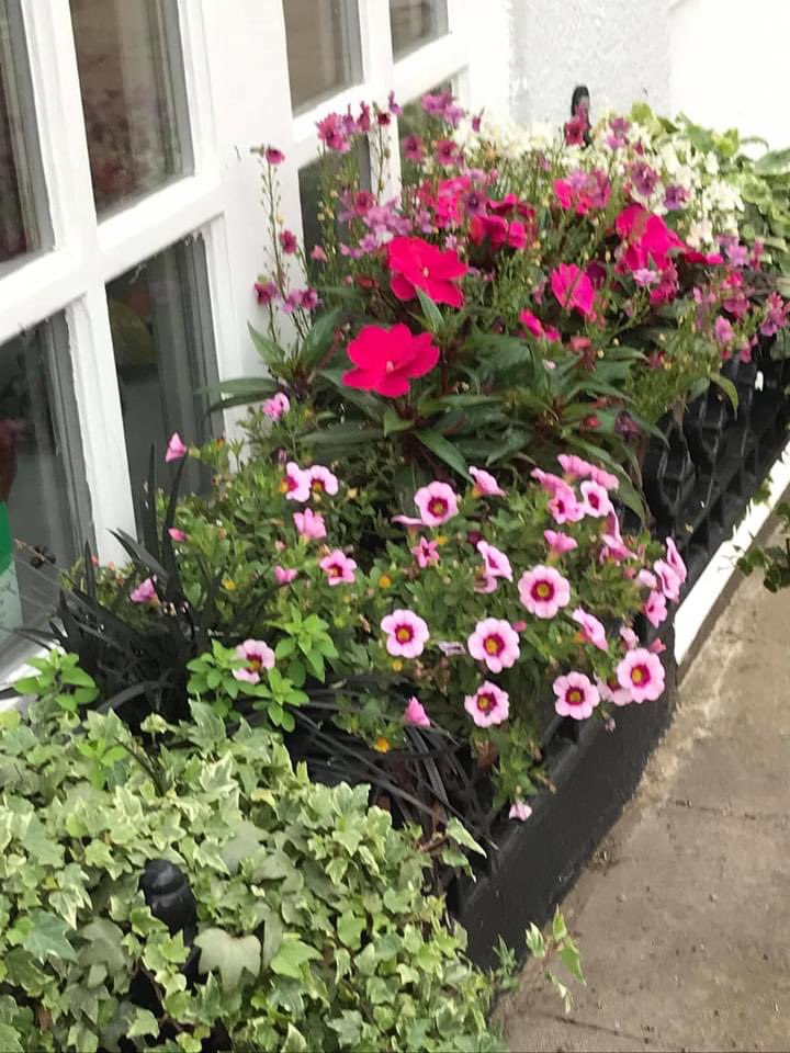 StamfordInBloom's tweet image. Window boxes in #Stamforduk are looking amazing. Thank you to everyone who is keeping them so well for us all to enjoy.