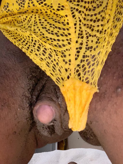 Lace Yellow panties fit Perfect 👌 ! Enjoy my new update  and Buy a pair of my sexy panties https://t<a href="/tag/houston"class="tags"><span>#houston</span></a><a href="/tag/dominatrix"class="tags"><span>#dominatrix</span></a><a href="/tag/findom"class="tags"><span>#findom</span></a><a href="/tag/ebonygoddess"class="tags"><span>#ebonygoddess</span></a><a href="/tag/bigclit"class="tags"><span>#bigclit</span></a>