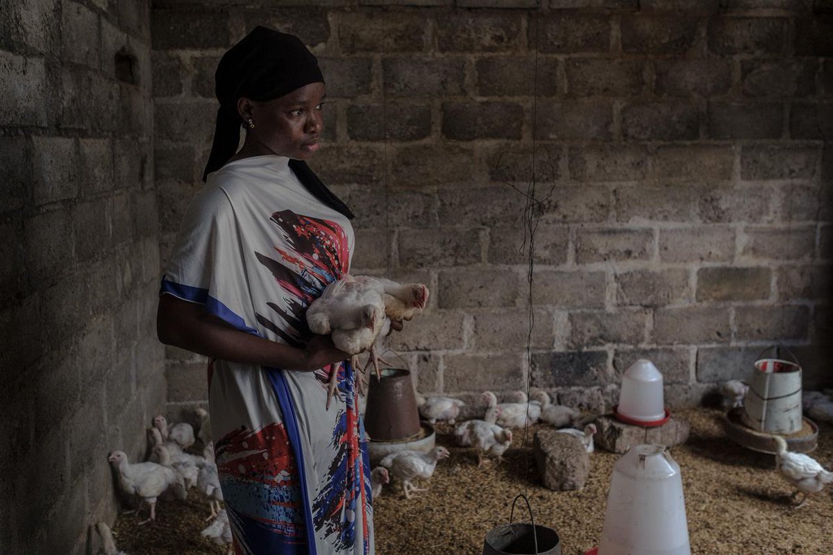 FondazioneAVSI's tweet photo. Oggi nella giornata internazionale contro la #tratta di esseri umani @euronewsit racconta il nostro progetto New Hope in #CostadAvorio grazie a @europeaid e @UCSCEI per ridurre la migrazione irregolare e creare nuove opportunità per chi rimane nel paese:
https://t.co/fzTKBzTmF1 https://t.co/sgQZPvH9AP