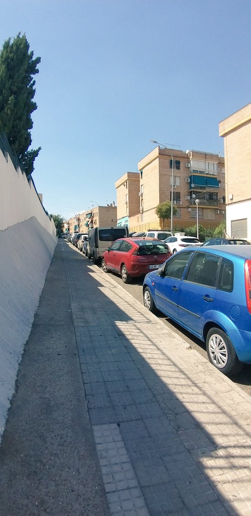 BarrioFatima's tweet photo. @InfrayMAmbiente @ayuncordoba_es @jmbellidoroche diferencia abismal, tanto en estética como en temperatura,  de una calle con arboleda y otra con sólo cemento. Creo que sería un gran acierto de este ayuntamiento, plantar árboles de sombra, NO NARANJOS, en todas nuestras calles https://t.co/fxGbEiHfER