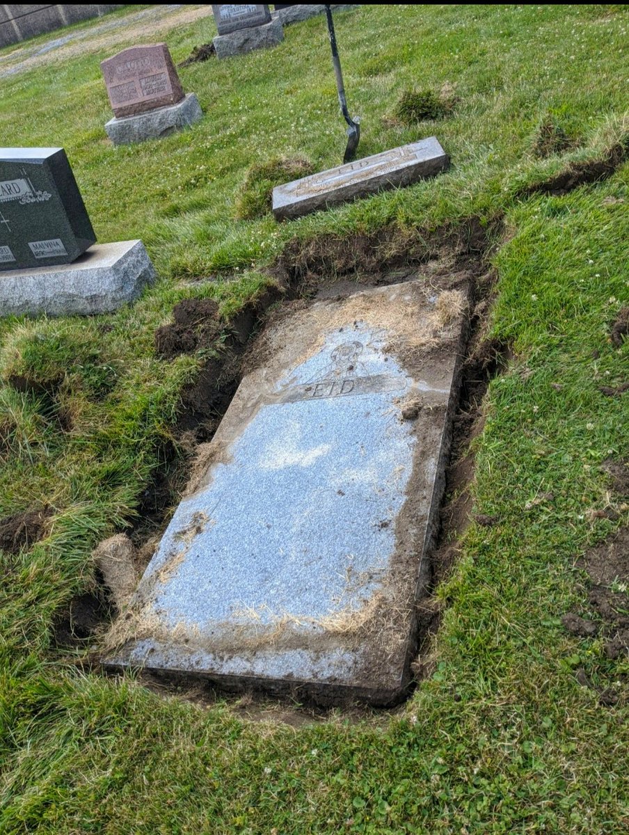 SafeCemeteries's tweet photo. Permeable grid is a restoration game changer. With the help of a
🚜 & some 💪muscle, we removed the marker, leveled & added crushed gravel/grid before laying the marker back into place.
➡https://t.co/Q4H28CYJrQ
#thursdaymorning #Windsor #heritage #conservation #permeablegrid https://t.co/wBcBZ1tpN2