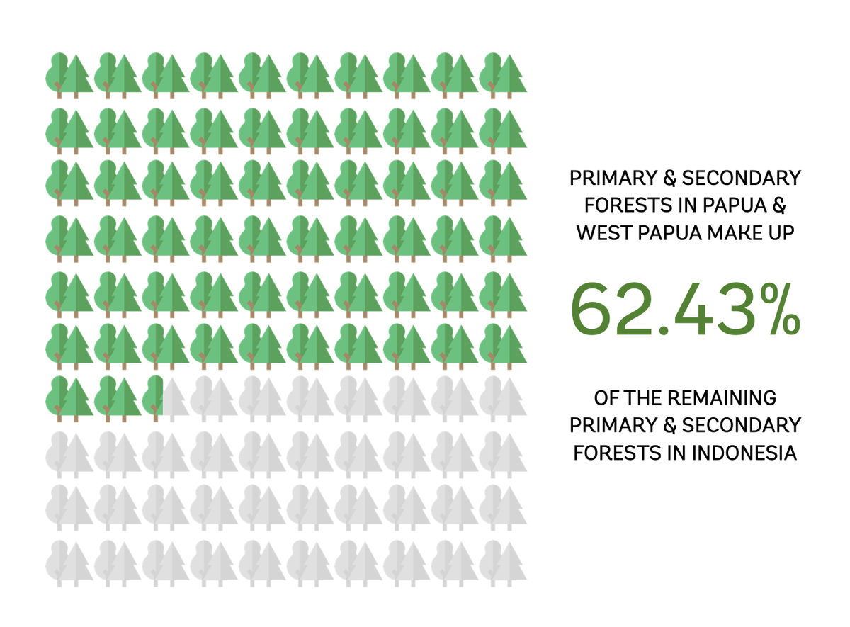 [#3] Sambil tetap mendorong model ekonomi lestari yang menyejahterakan masyarakat sekitar hutan, implementasikan penghentian izin baru di hutan primer dan gambut, izin sawit, identifikasi bank lahan dengan nilai konservasi tinggi, dan perbaiki tata kelola gambut.