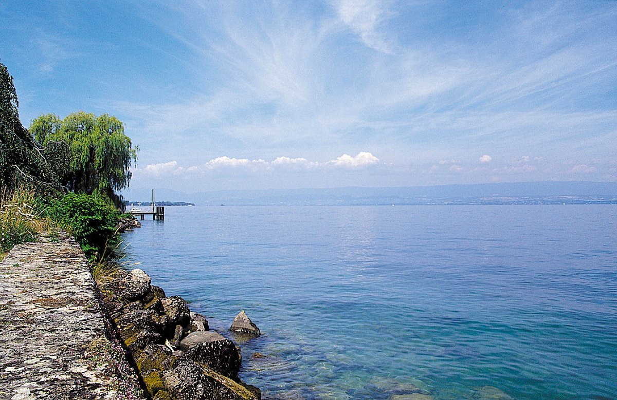 Partir_Ici's tweet photo. Il fait beau 🌞 et il fait (très) #chaud 🌡 ! 
Alors juste pour vous, on a déniché 13 super pour vous rafraîchir et vous détendre au bord de l’#eau 💦😎

👉 https://t.co/6AizkBFRYh

#lacs #rivières https://t.co/swSc6nzlk3