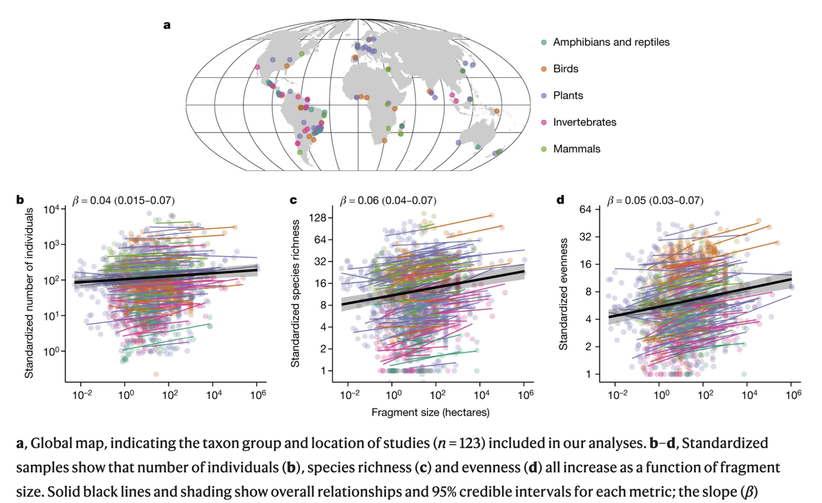 Does habitat fragmentation cause passive  #biodiversity loss, or, is it an ecological process of community decay? Although hotly debated the data synthesis by  @Jon_Chase88 et al. provides compelling evidence for decay.  https://www.nature.com/articles/s41586-020-2531-2