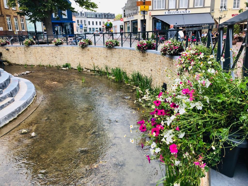 GemGulpenWittem's tweet photo. Door samenwerking tussen ondernemersvereniging Samenwerking Promotie Kern Gulpen (SPKG) en de gemeente is het prachtige centrum van Gulpen nóg mooier geworden. Neem snel een kijkje en geniet van de bloemenpracht! https://t.co/qjCpHDmaFe https://t.co/iURwi3npfO