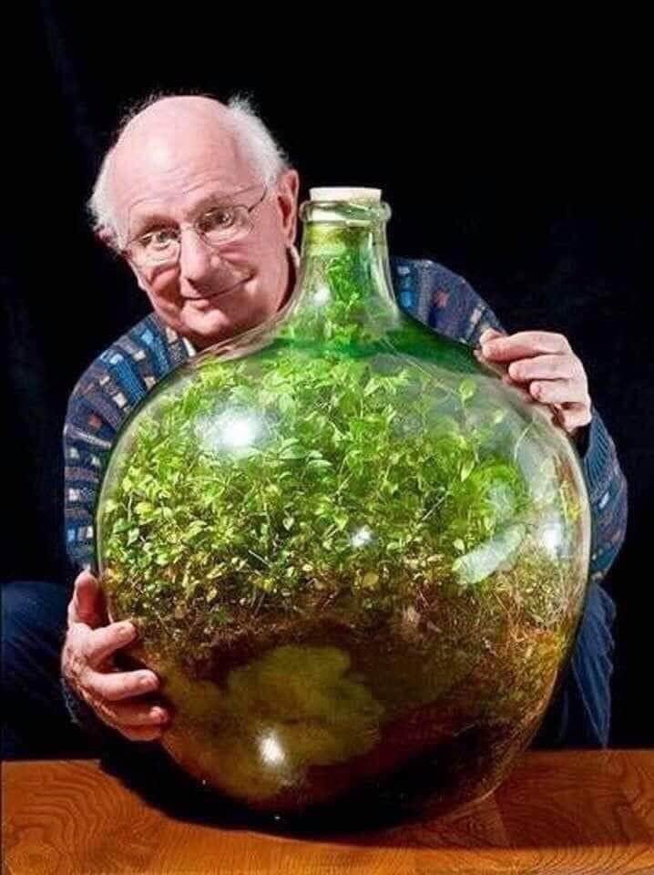 TrakyaKoop's tweet image. David Latimer‘in hobi olarak, 1960’ların sonlarında bir haftasonu, yaklaşık 40 litrelik şişe içerisine ektiği bitki, bugün hala hayatta ve damacana içerisinde tam anlamıyla kendi ekosistemini oluşturmuş durumda.