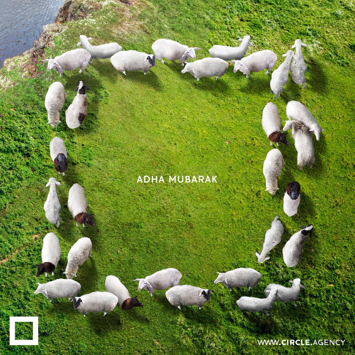 CircleChannels's tweet photo. On this special occasion of Eid Al Adha, we extend our warmest greetings to you and your loved ones. Circle team wishes you a wondrous and peaceful Eid.
💚🔲
.
#circle #circlevisualcommunication #eidmubarak #adha #adhamubarak #eidadhamubarak #عيد_مبارك #أضحى_مبارك https://t.co/ZFL92nBCJV