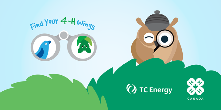 This week, learn all about Owls with Find Your 4-H Wings! These activities encourage 4-H'ers to get outdoors and learn about their winged friends. Download the Owls activity book today: bit.ly/303dodo

Find Your 4-H Wings is made possible thanks to <a href="/TCEnergy/">TC Energy</a>