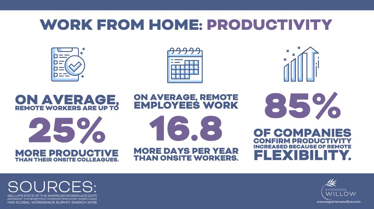 Experience Willow tweet media