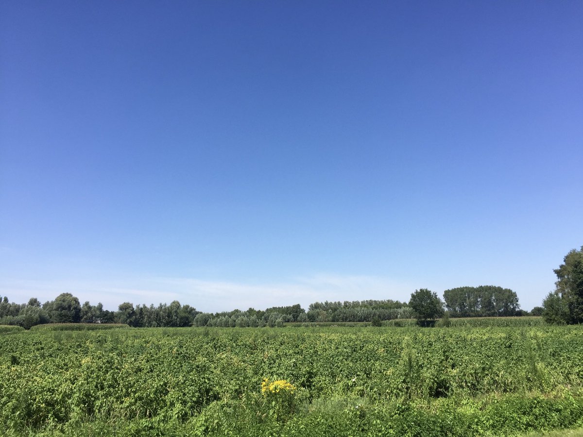 MWezemael's tweet photo. ⁦@MeteovistaBe⁩ ⁦@hetweerlokaal⁩ ⁦@Weerbord⁩ #Waasmunster #zomer #zon #vrtweer #dag35 https://t.co/FDqlkwVdeV
