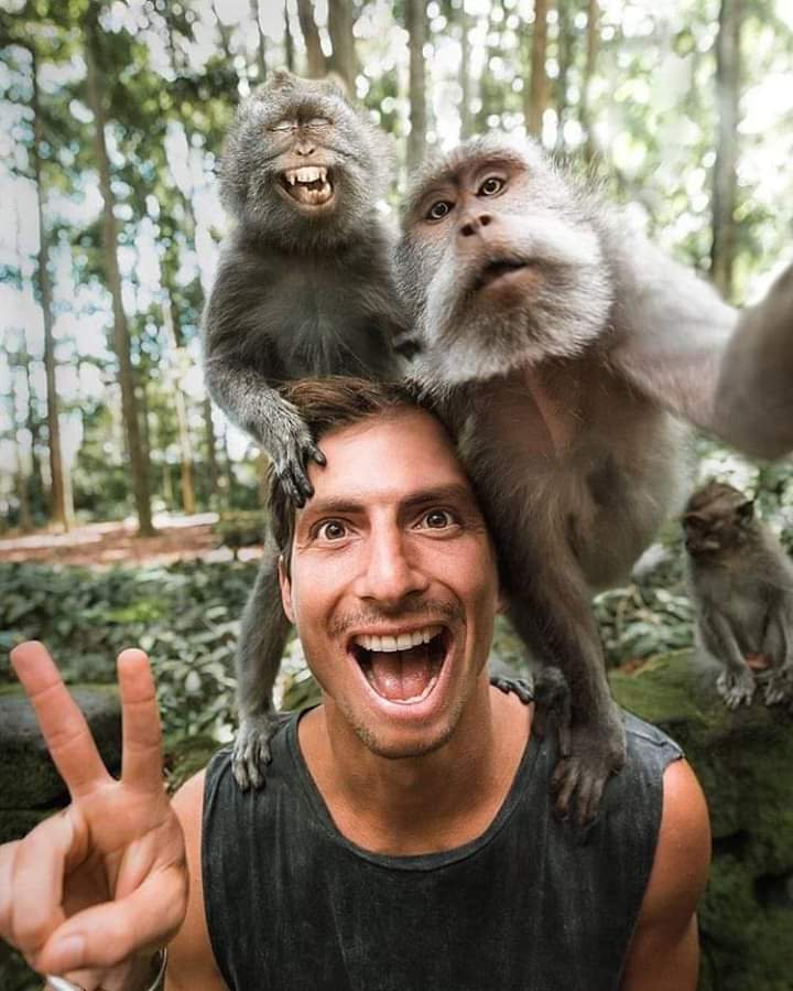 OrgPhysics's tweet photo. Best selfie https://t.co/OICMXCGO2X