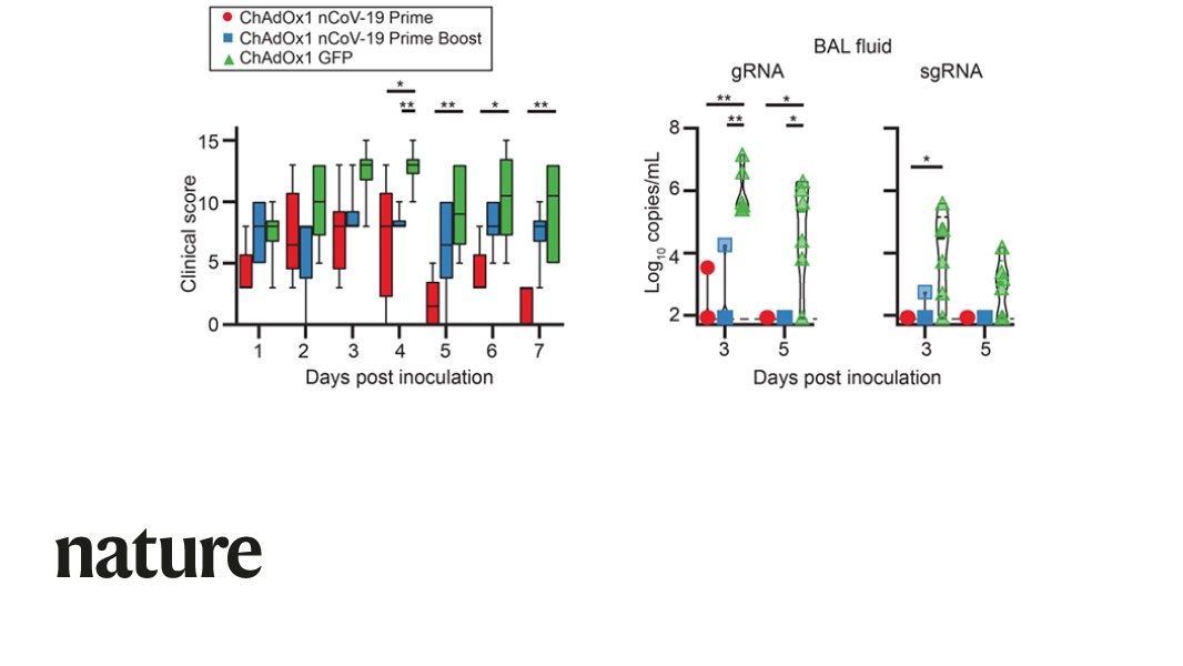 Nature Portfolio tweet media