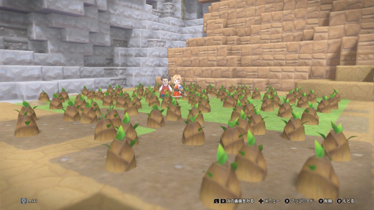 miri_desu's tweet photo. #NintendoSwitch https://t.co/VnTDcpD9FD