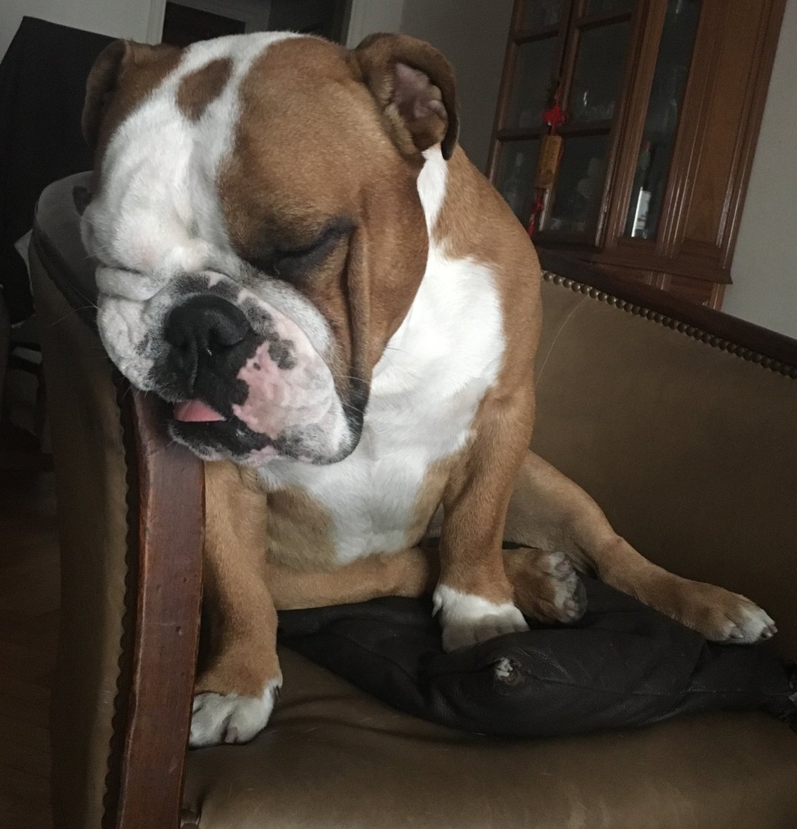 CaminoaSamanta's tweet photo. Cual es tu Billy-mood del dia??
Yo estoy como el 3... hace como un mes ya https://t.co/88LqmMcdxH