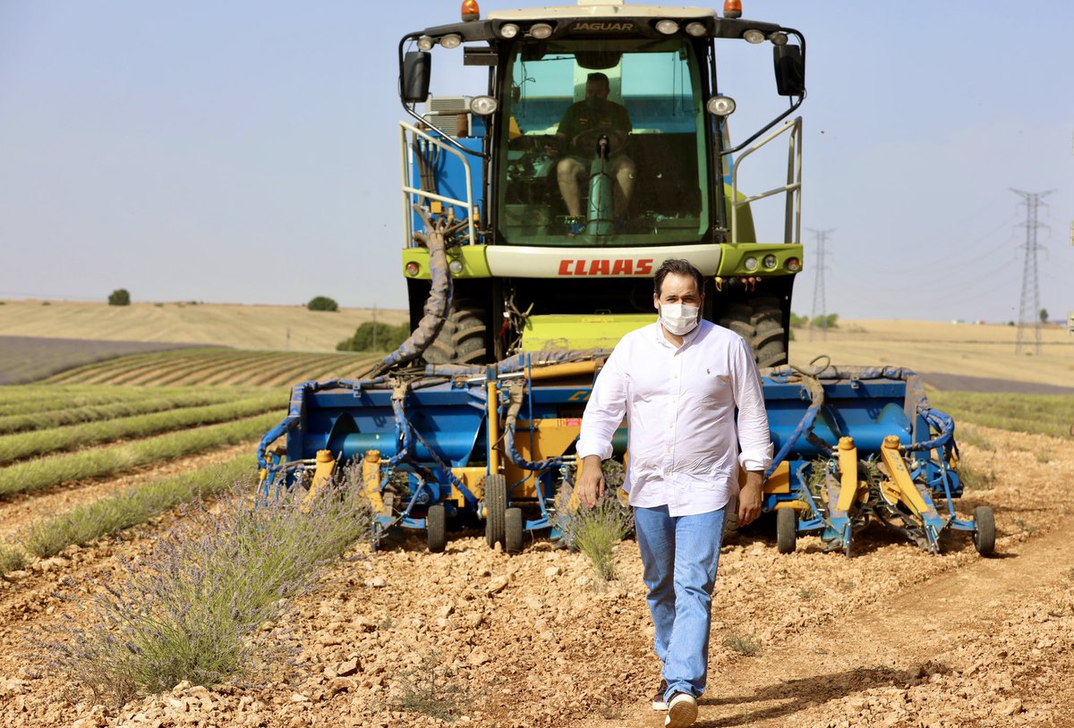 paconunez_'s tweet photo. Debemos defender el campo y las explotaciones agrícolas, tanto desde el punto de vista turístico, algo que hay que seguir protegiendo y auspiciando, pero también desde el punto de vista económico para la distribución de la lavanda para la actividad cosmética y sanitaria. https://t.co/lEYGpWzYge