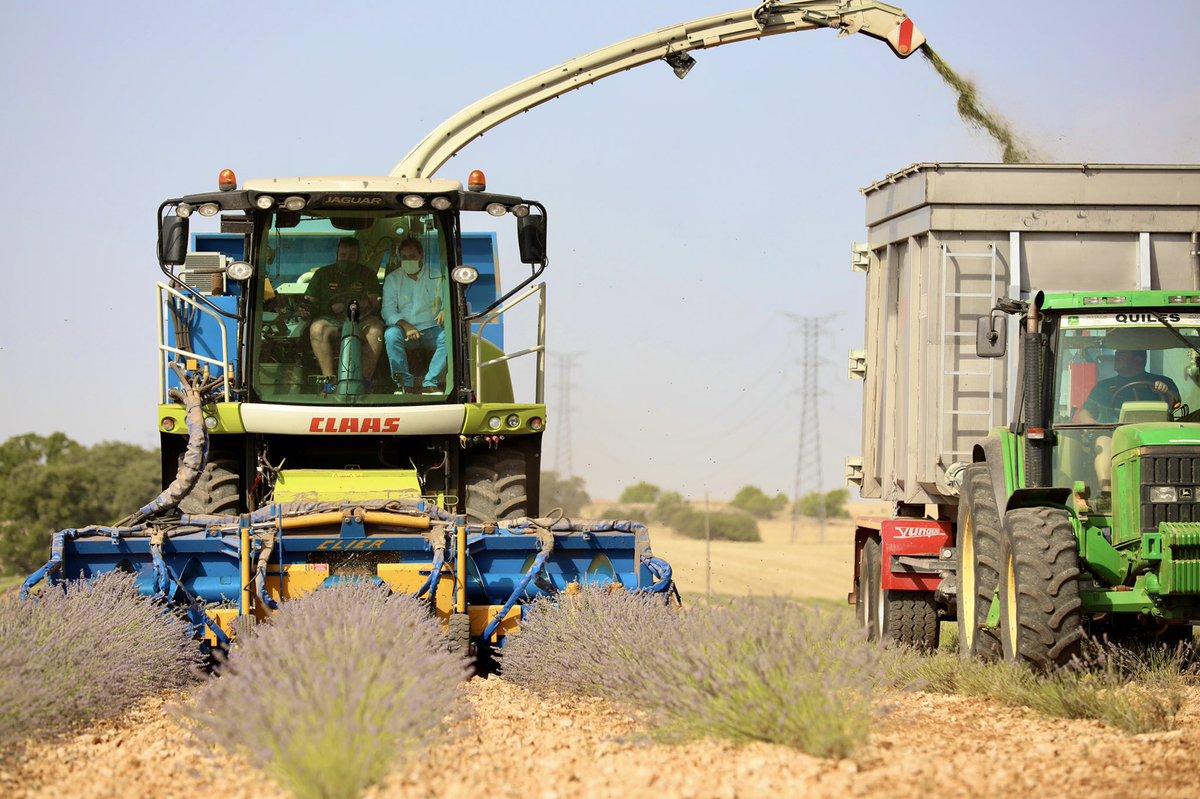 paconunez_'s tweet photo. Debemos defender el campo y las explotaciones agrícolas, tanto desde el punto de vista turístico, algo que hay que seguir protegiendo y auspiciando, pero también desde el punto de vista económico para la distribución de la lavanda para la actividad cosmética y sanitaria. https://t.co/lEYGpWzYge