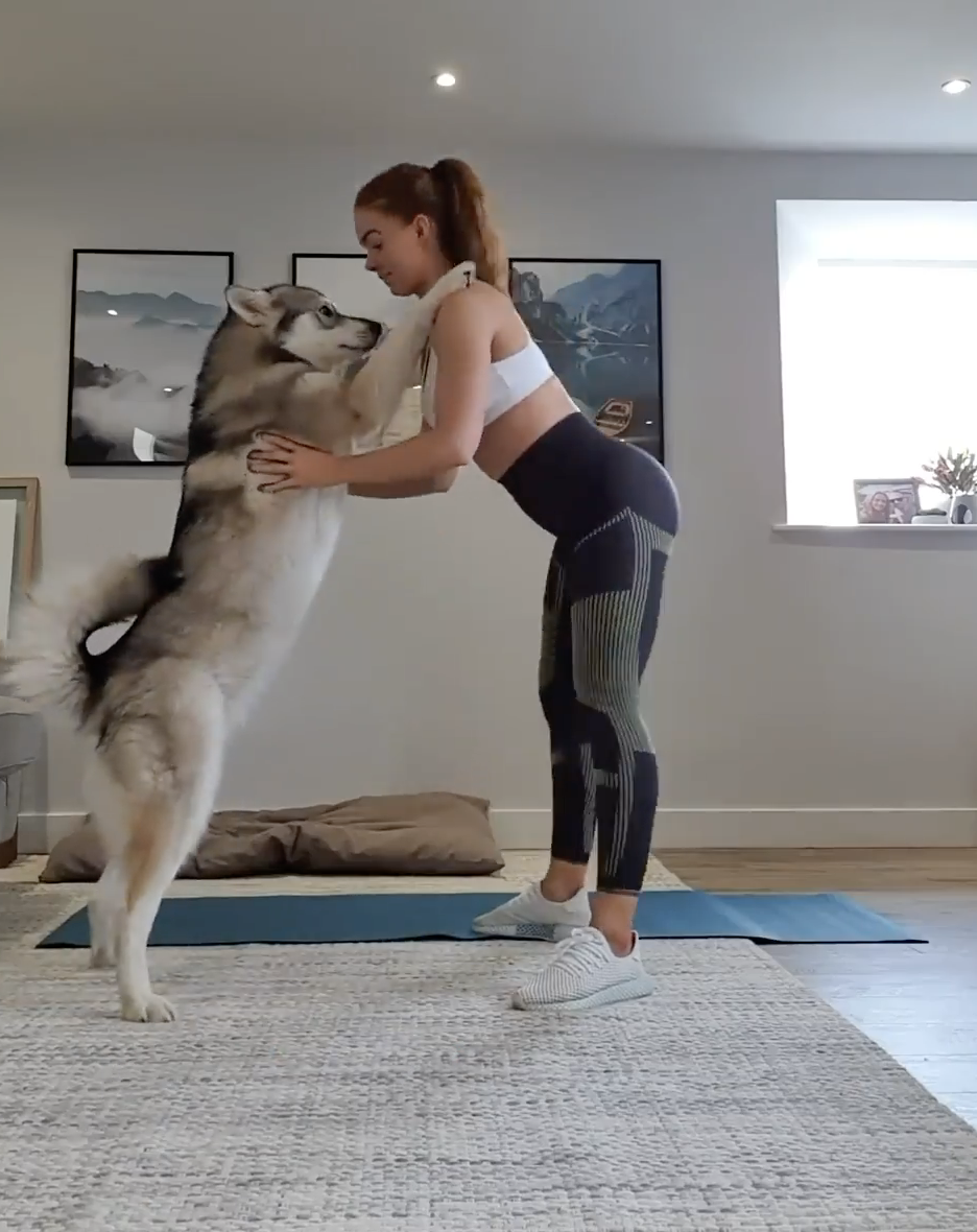 Myprotein's tweet photo. Months of home workouts, crazy new challenges and spending quality time with our dogs. This is our #LockdownIn4Pics 

i/g: blessedyoga, gemma_nicole_stanley, georgiagilbert23, dentabeast https://t.co/he19EgcysV