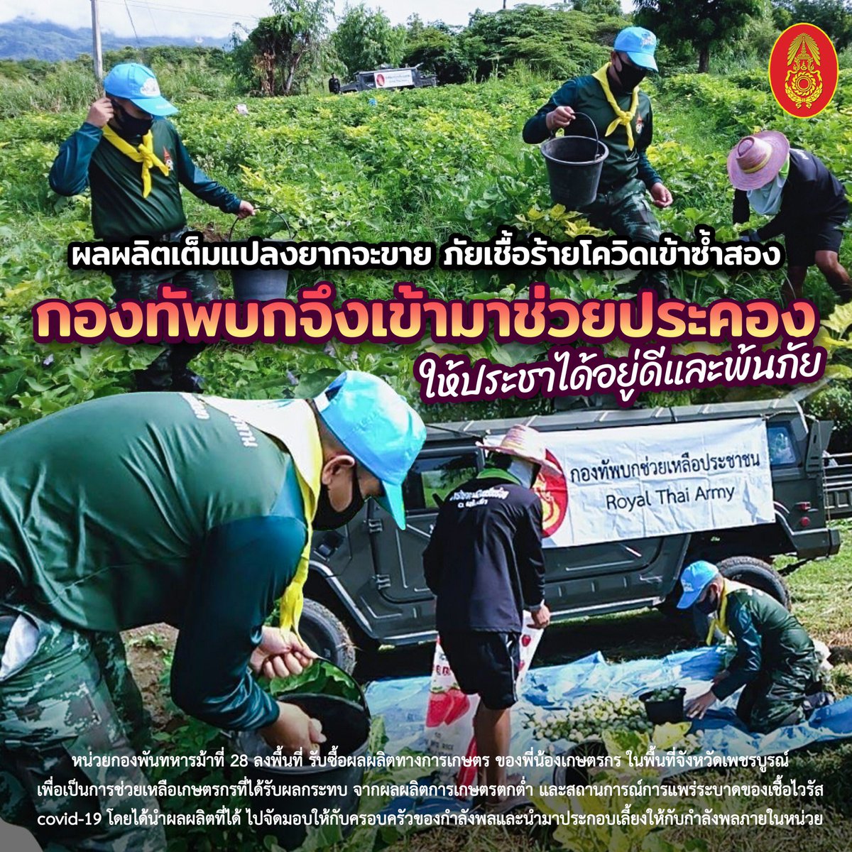 Doca_ThaiArmy's tweet photo. "ผลผลิต​เต็ม​แปลงยากจะขาย​  ภัยเชื้อร้ายโควิดเข้าซ้ำสอง​ กองทัพบก​จึงเข้ามาช่วย​ประคอง​ ให้ประชาได้อยู่ดีและพ้นภัย"

#ทหารเป็นที่พึ่งของประชาชนในทุกโอกาส
#กองทัพบก
#กองทัพบกเพื่อชาติศาสน์กษัตริย์และประชาชน
#RoyalThaiArmy https://t.co/cgaNSTc3gn