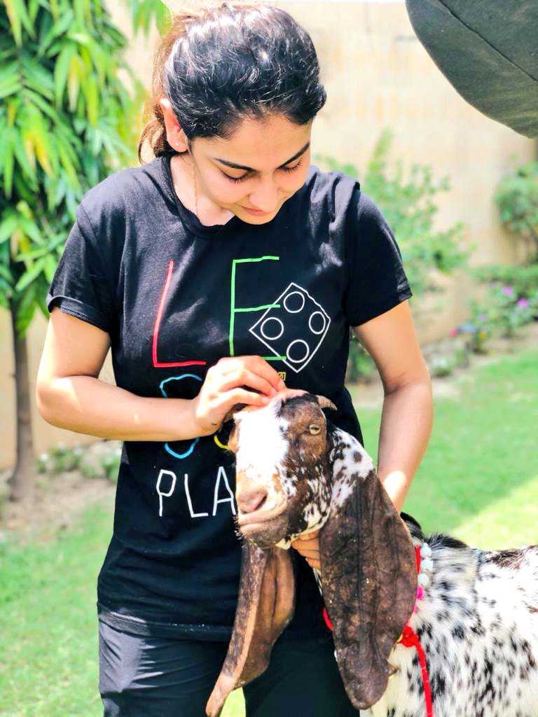 kainatimtiaz16's tweet photo. Mandatory picture 🐐

#bakraeid https://t.co/BAZ6FQZXER