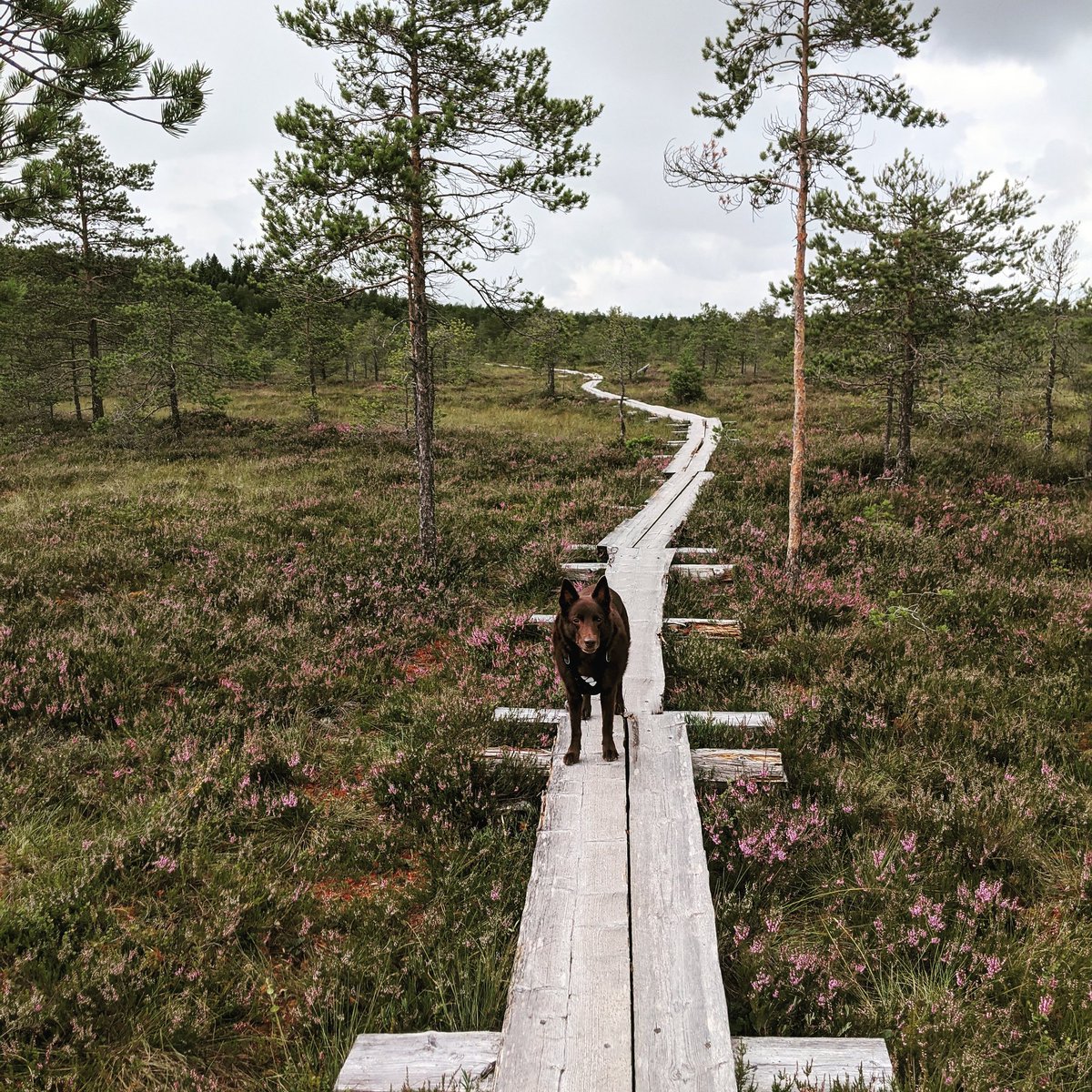 Viimeisimmät lomapäivät, ja vietetään ihmisen kanssa laatuaikaa 👌