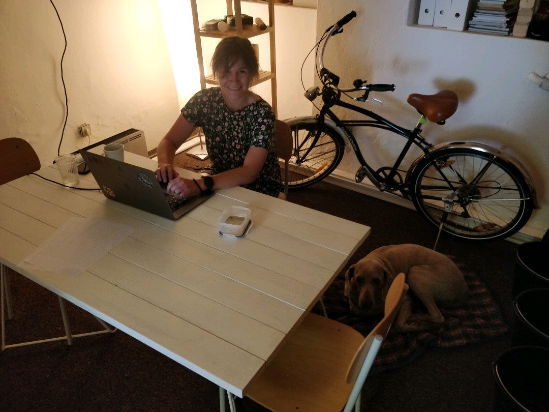 Santiago Alto tweet media