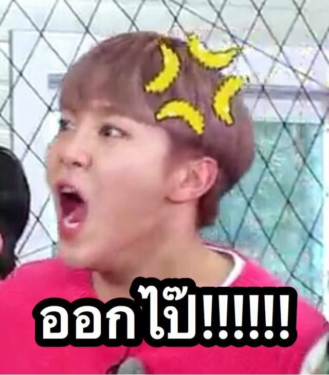 เสือร้องไฮ้🐯 tweet media