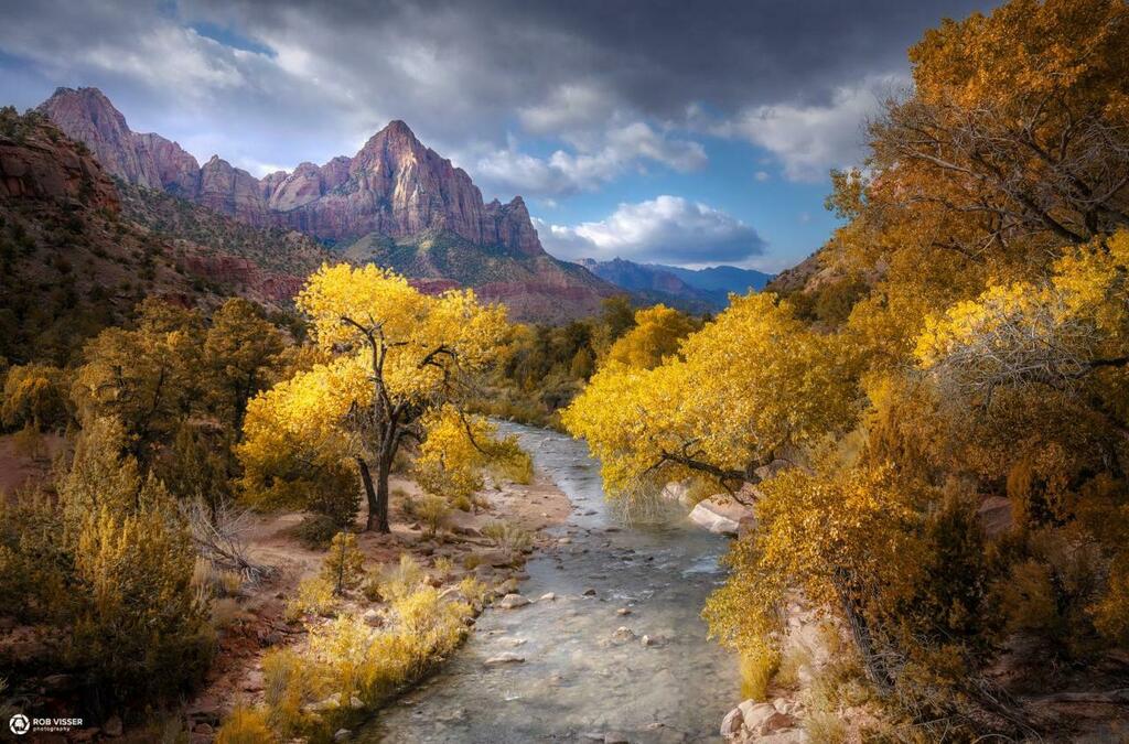 Zion’s gold, my favourite park of our road trip, Zion National park [1637x1080] [OC] - Author: Robvisserphotography on reddit - Youtube (sUbScRiBe) youtube.com/channel/UCgq_t…