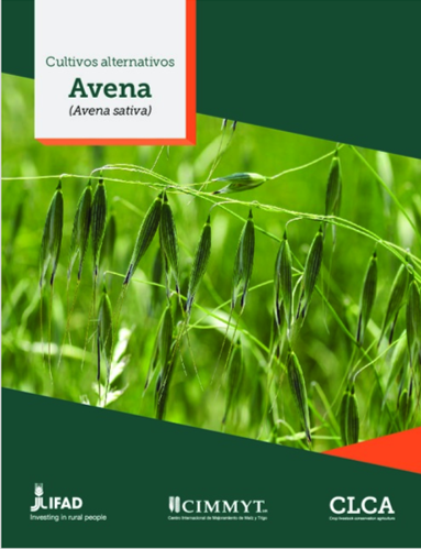 MEL_CGIAR's tweet photo. Technical sheets for ten crops were designed to provide farmers, extension services and the network stakeholders with technical information on the different available crops for the #CLCA systems in #Mexico and #Bolivia.
More 👉https://t.co/aAOBDqnGJn
@ICARDA @CIMMYT @IFAD https://t.co/MwYYEqXAqT