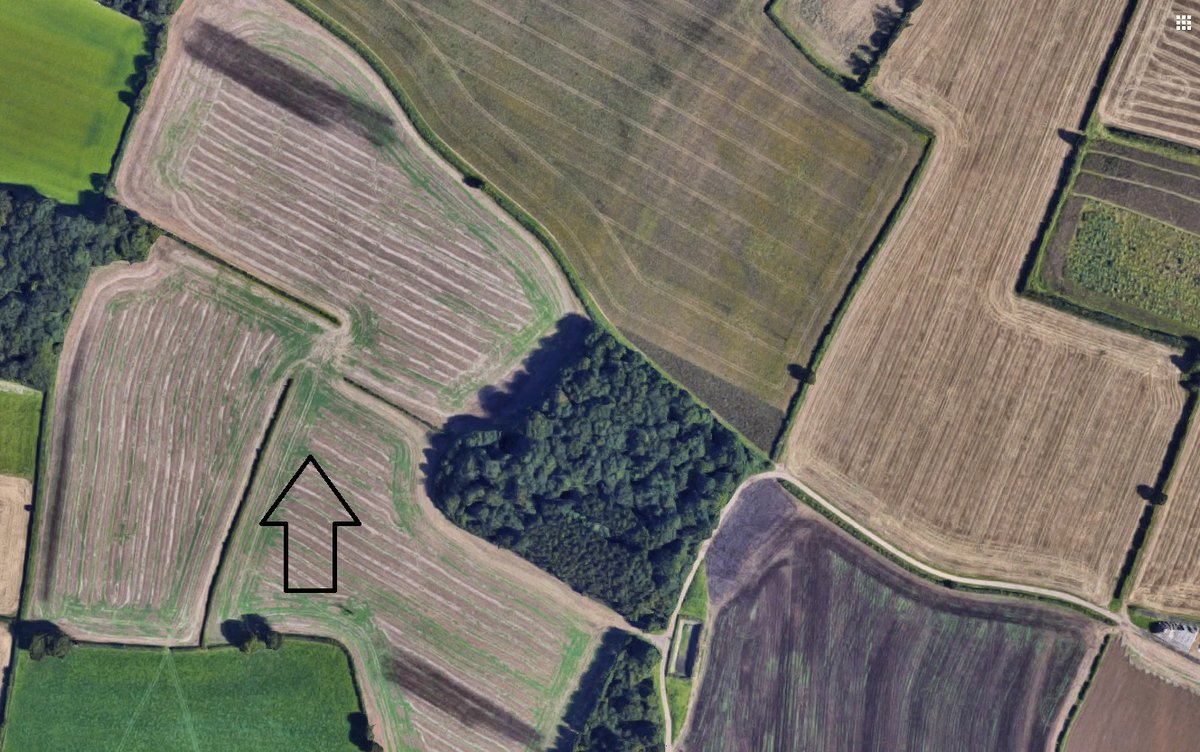 google earth as an area where three hedges converge but don't meet. The campsite can be seen in the lower right hand corner of the second image. To the south of the former Bell Lodge site, a farm complex can be seen called Hamilton Farm or Hamilton Grounds. This area was used /7