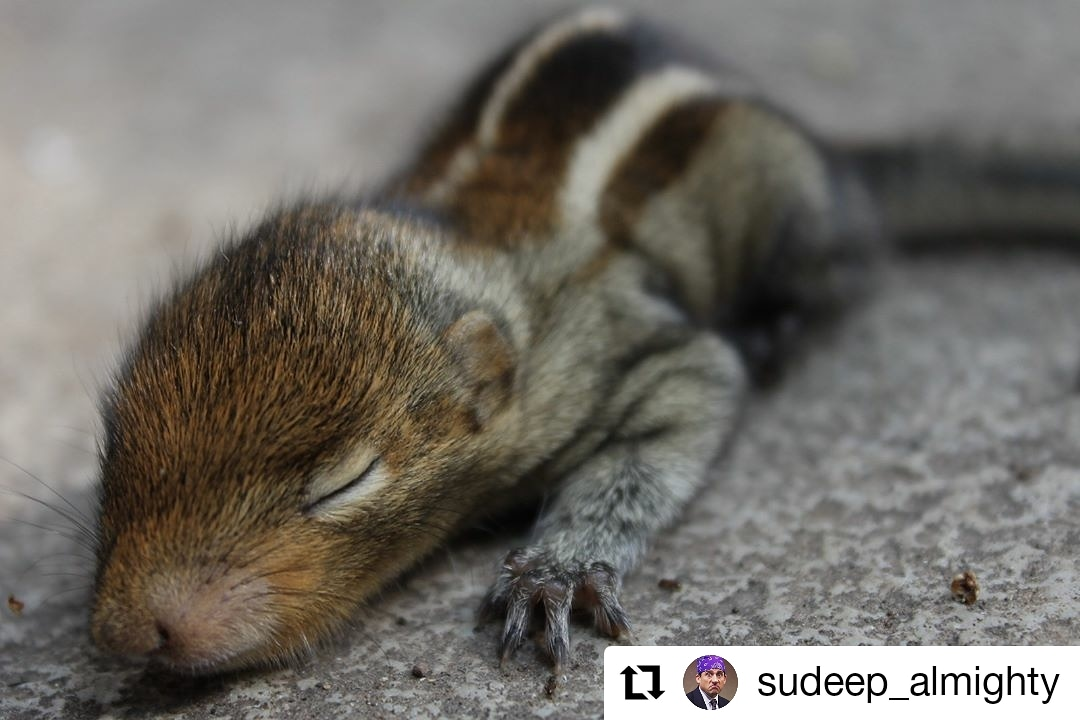punefff's tweet photo. #HumansForFuture #18
Photography by @sudeep_almighty
Let's display our love for nature through our activities. Tag us without fail and use the following # tags to get featured
#HumansForFuture
#ArtistsForFuture
#FitnessForFuture
For details click below:
https://t.co/x7wunLlVio https://t.co/fwp8JUzRLD