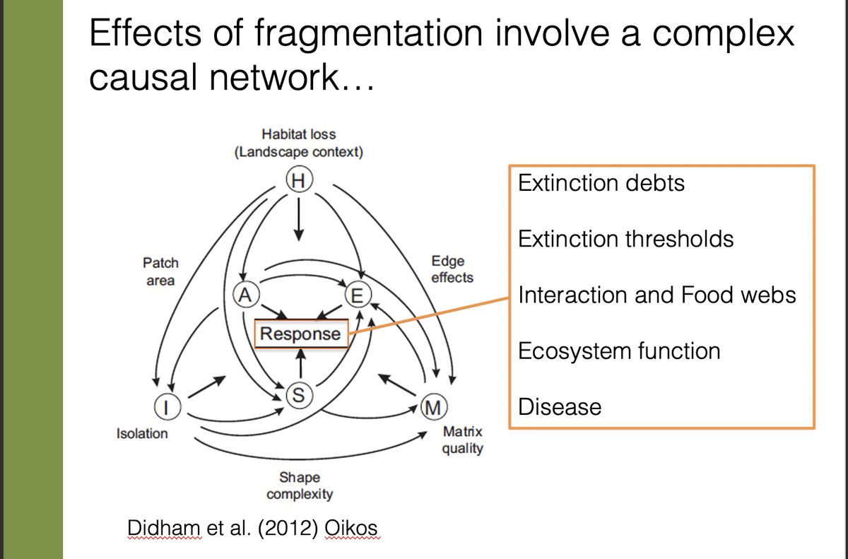The effects of habitat fragmentation are complex and require sustained research. We have to link models, experiments, and surveys to understand what is happening in any given fragmented landscape.