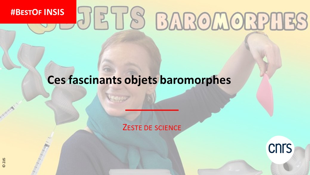 CNRSingenierie's tweet photo. 📢 #BestOfINSIS
Cet épisode de @ZesteDeScience résout les problèmes d'emballage grâce à une équipe du #PMMH : celle-ci a mis au point un matériau qui mime la croissance biologique de certaines plantes afin d’adopter une forme souhaitée.

↪️ https://t.co/tEwXf9GSIv https://t.co/6oJpdp0AhU