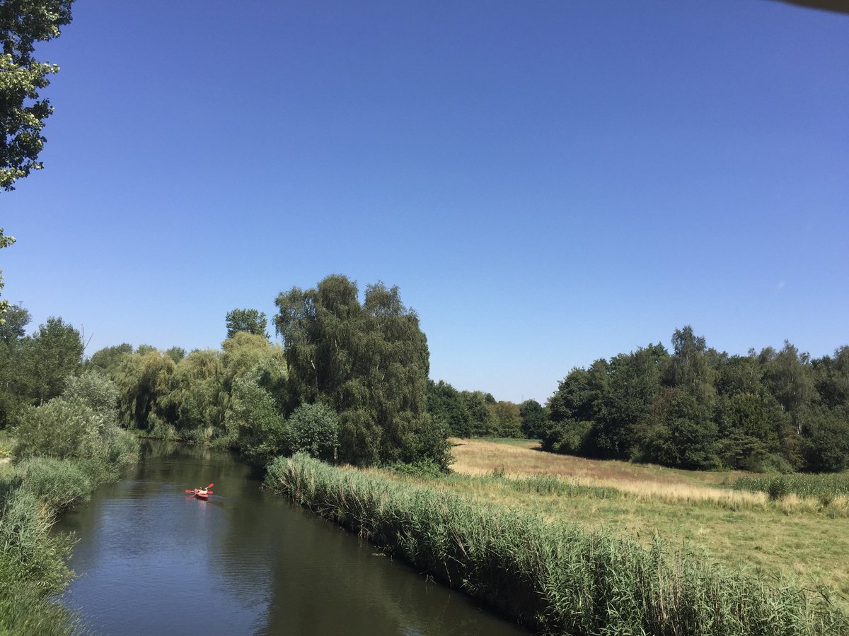 MWezemael's tweet photo. ⁦@MeteovistaBe⁩ ⁦@hetweerlokaal⁩ ⁦@Weerbord⁩ #Daknam  #zomer #zon #vrtweer #dag35 https://t.co/SXzL69CFce