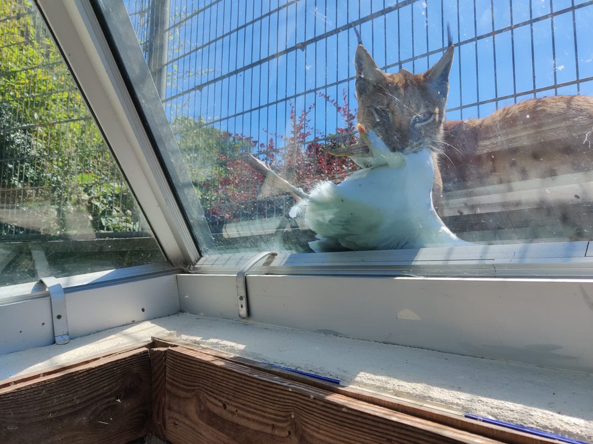 Lovely day at the Zoo