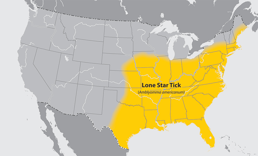 10/Typically allergic rxn with 5-30min of eatingMost often implicated is Amblyomma americanum (lone star tick), mostly in SE US (but alpha-gal meat allergy reported in other parts of world)Ref: CDC https://jamanetwork.com/journals/jama/fullarticle/2670238  https://pubmed.ncbi.nlm.nih.gov/23743512/ 
