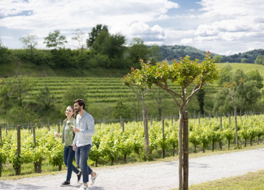 VisitFVG's tweet photo. Dai concerti e pic-nic in vigna, passando per i safari o la meditazione tra i filari, fino alle degustazioni in montagna e in laguna: il Friuli Venezia Giulia propone ai #winelover nuovi modi per scoprire le eccellenze enogastronomiche.

Leggi l'artcolo 👉https://t.co/1Zz62aZDnH https://t.co/iXMi2u0do5