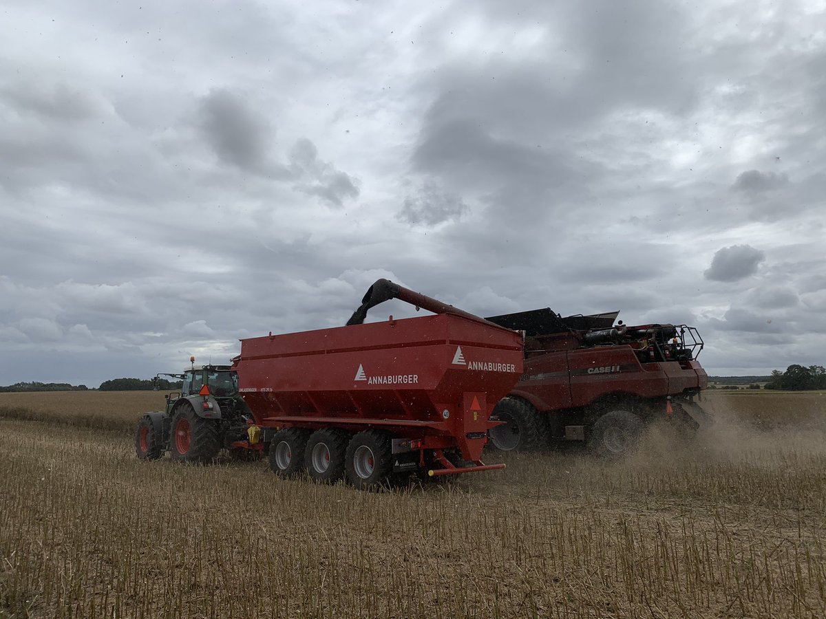 Nikolajstroiet's tweet photo. Annaburger Chaser bins whit 36 m3 https://t.co/oJXsxDPeNM