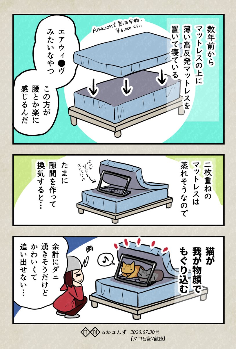 【ヌコ日記】ベッドに薄いマットレスをもう1枚敷くと…?

#ヌコ日記 #健康マンガ #猫のいる暮らし 