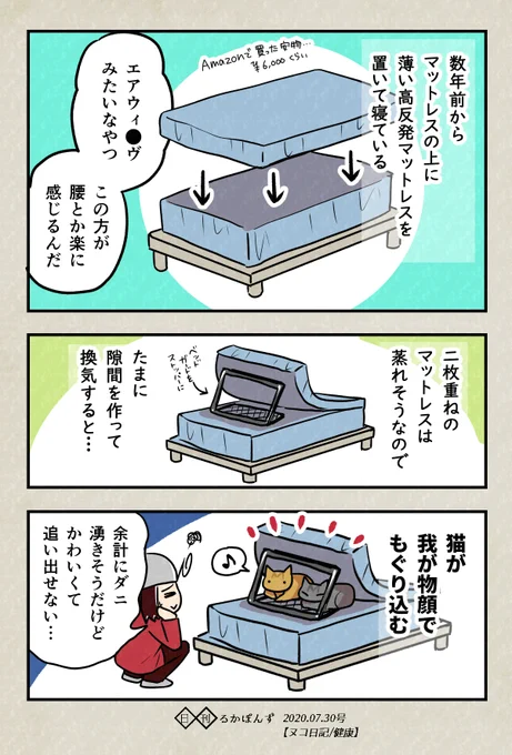 【ヌコ日記】ベッドに薄いマットレスをもう1枚敷くと…?#ヌコ日記 #健康マンガ #猫のいる暮らし 