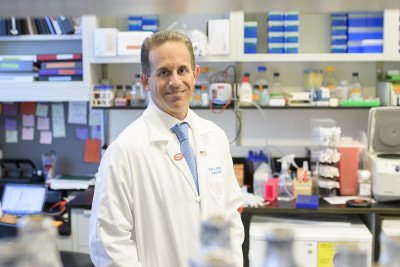GSKGradSchool's tweet photo. Congratulations to #GSK Faculty Member, Dr. Ross Levine https://t.co/z7S0JKGJsY  who is the recipient of the MSK Excellence in Mentoring Award! https://t.co/XD8R4VhgnL