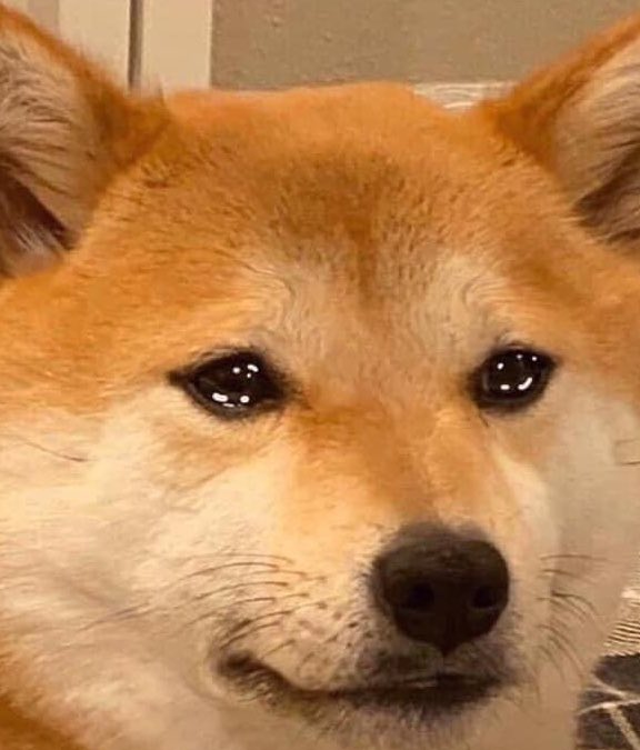 gellbry REST (@gellbry) on Twitter photo 