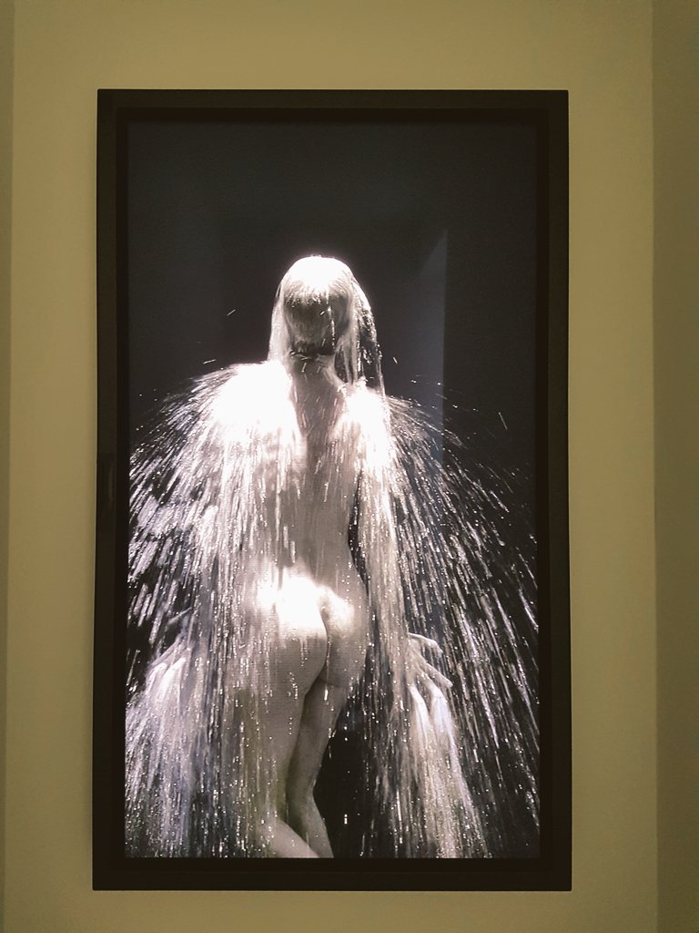 hoekzema59's tweet image. pic.day still #billviola #depont #tilburg