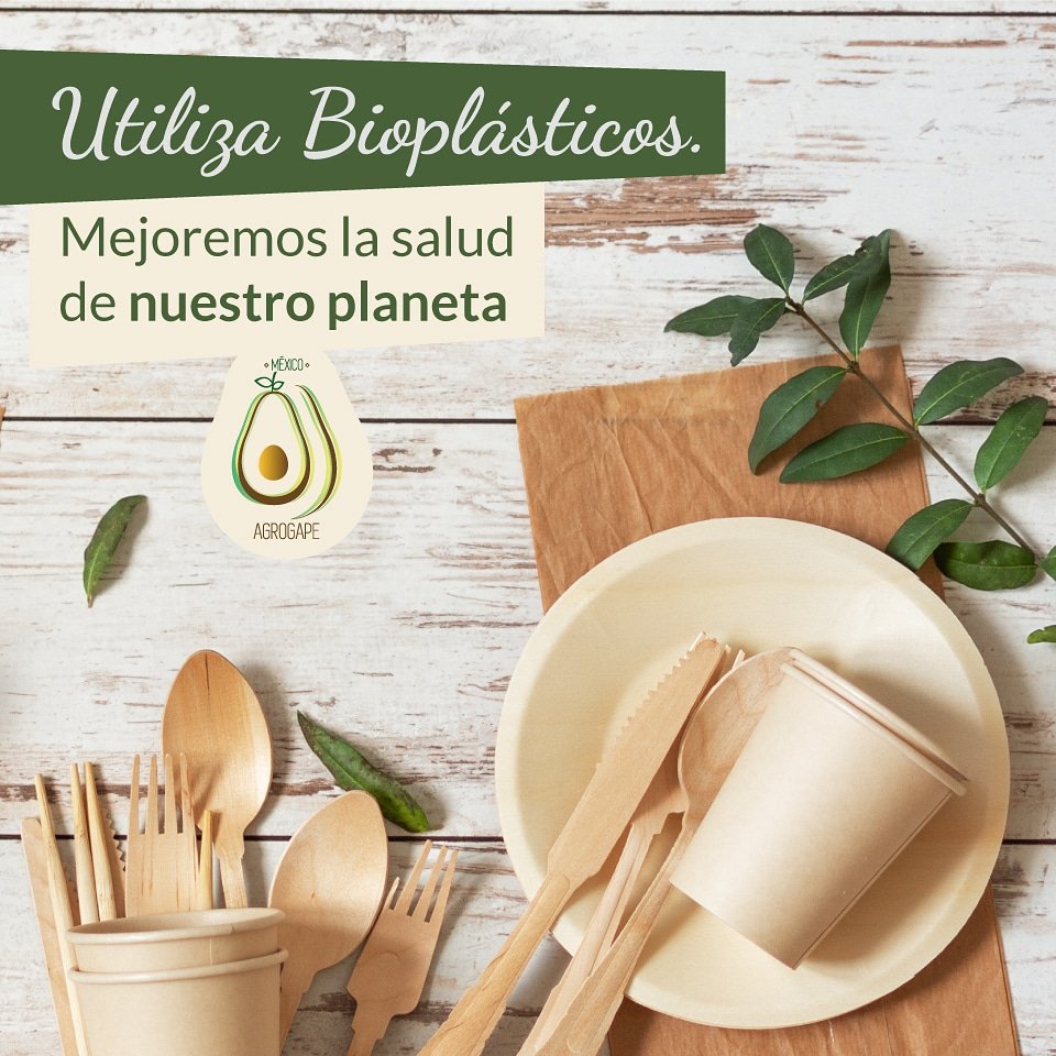 agrogape's tweet photo. Los #bioplásticos son un tipo de plásticos que se fabrican a partir de materiales orgánicos como la semilla del #aguacate el cual es  biodegrables. 

El uso de los bioplásticos es  para sustituir los plásticos normales y cuidar nuestro planeta.

#AGROGAPE #FrutodeNuestraTierra https://t.co/wUiI35foVh