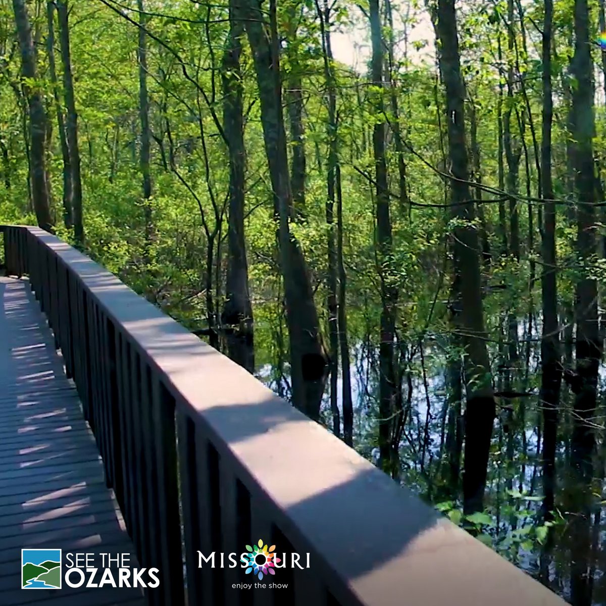 See The Ozarks tweet media