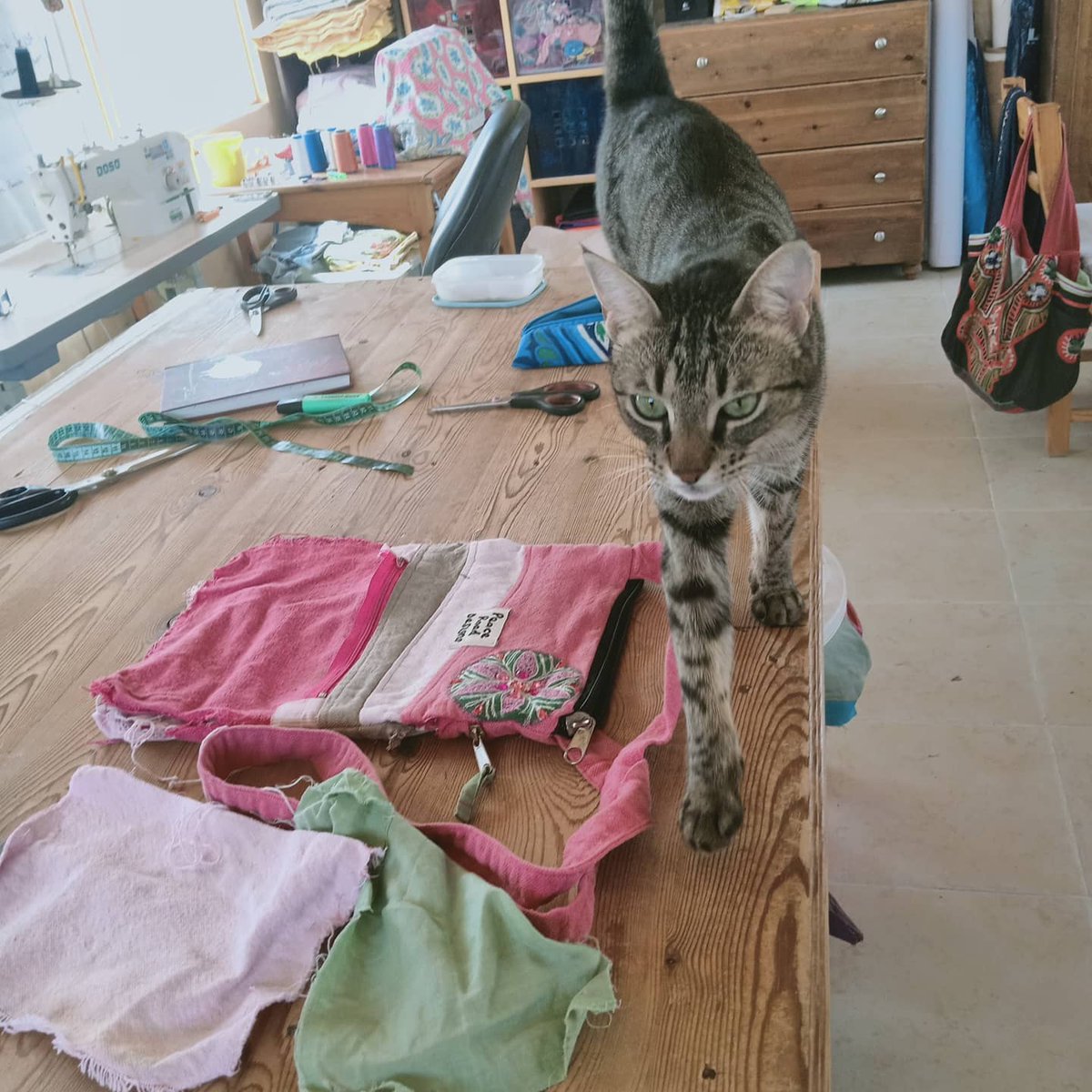 peaceroaddesign's tweet photo. I can't move without this little girl following me.  She's nearly 3yo and is my constant companion. I never knew I could love a little creature so much #CatsOfTwitter #Caturday #cats_of_instagram #catsofinstagram #catsatwork #workingfromhome https://t.co/nU9sTNmG5e