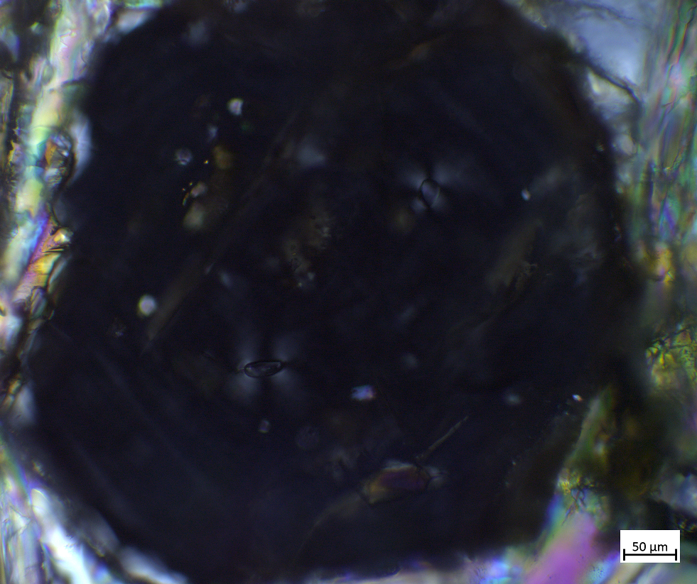 Time for a thread: I want to show you what I do with Raman spectroscopy and thin sections. It’s a big fancy machine with lasers, and is incredibly useful for a wide variety of purposes!  #thinsectionthursday  #erc  #geology  #truedepths  @MineralogyPavia 1/11