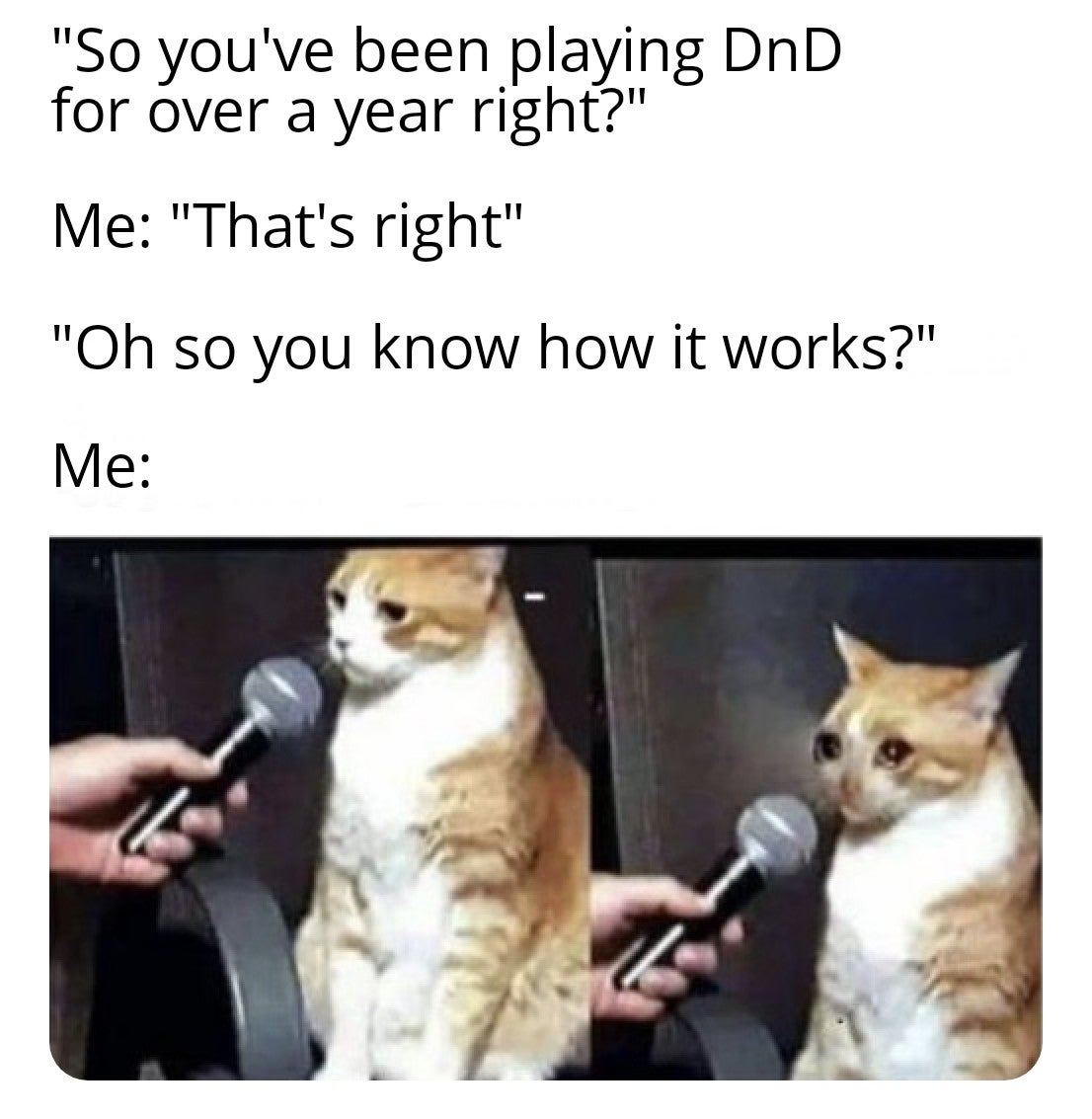 DND Memes en Twitter: "One of my players that I dm for made this and it's  so true it hurts 🧙🏻‍♂️⚔️😂 #dungeonsanddragons #gamenight #dndmemes  #dnd5e #roleplay #meme #bard… https://t.co/ns5nlf5TBR"